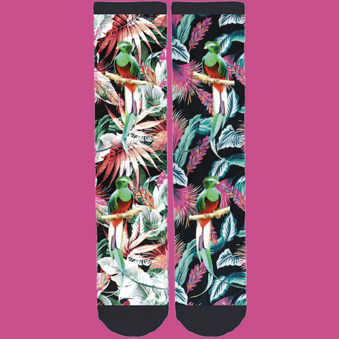 Save the Rainforest Quetzal Tropical Socks