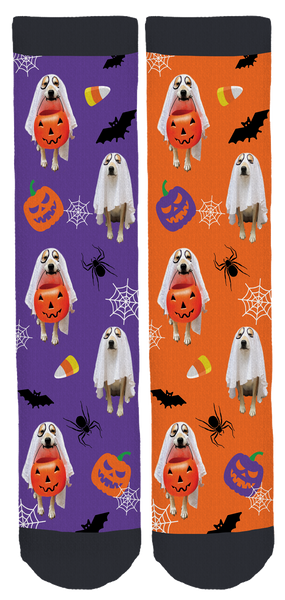 Finley Halloween Crew Socks