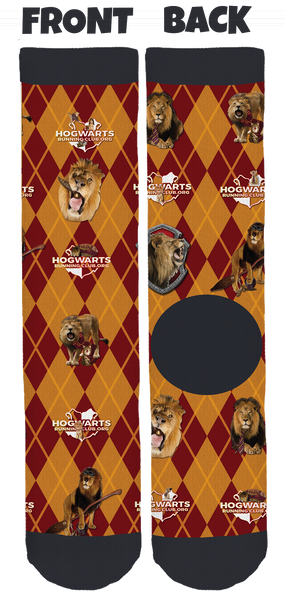 Gryffindor Socks
