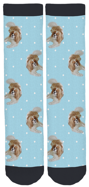 Pet Rescue "Jerry" Socks