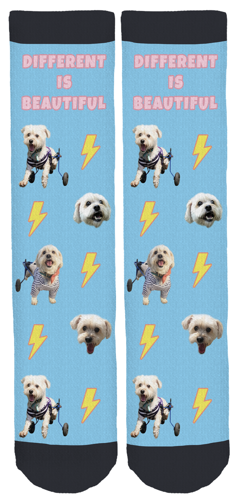 Albert on Wheels Crew Socks | Tribe Socks