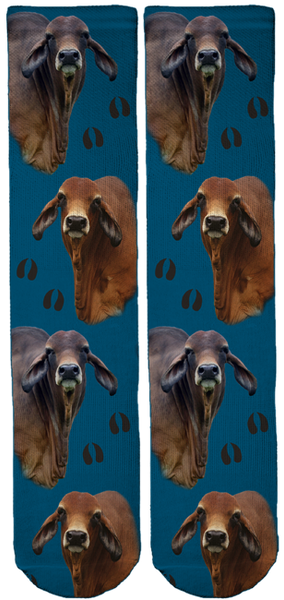 Limited Edition Brahman Crew Socks