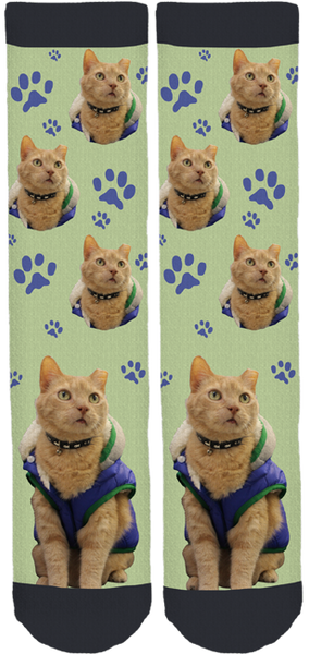 Bucks County SPCA Morty Socks