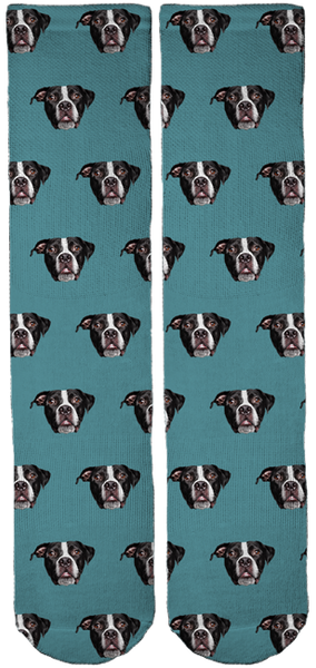 Limited Edition Bullies and Buddies Crew Socks