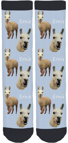 Blackberry Creek Farm Animal Sanctuary "Ernie" Socks