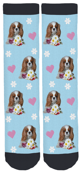 BusyBodyBiscuit Month of Love Socks