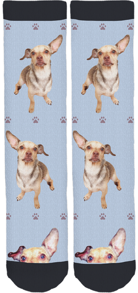 Delta Community Animal Shelter Crew Socks