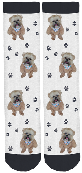 Munchkin the Teddy Bear Crew Socks