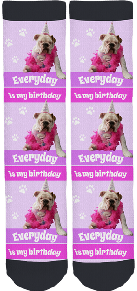 Cookie The English Bulldog "Birthday" Socks