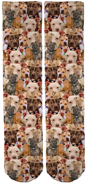 Limited Edition Cedar Valley Pit Bull Rescue Crew Socks