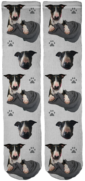 Bull Terrier Harper Crew Socks