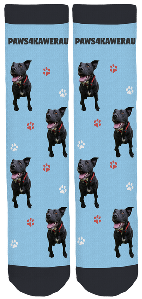 PAWS 4 KAWERAU Crew Socks