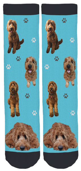 Charlie the Goldendoodle Crew Socks