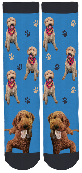 Limited Edition Doodle Is Best Crew Socks