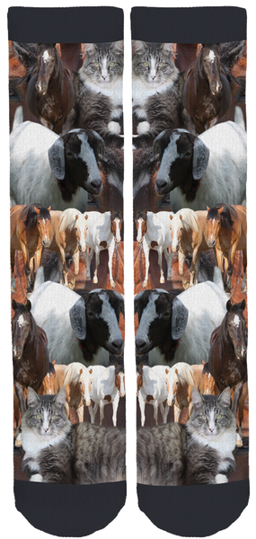 River Edge Horse Crew Socks