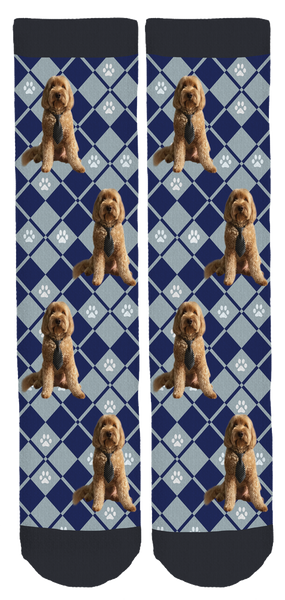 Fenway the Labradoodle Crew Socks