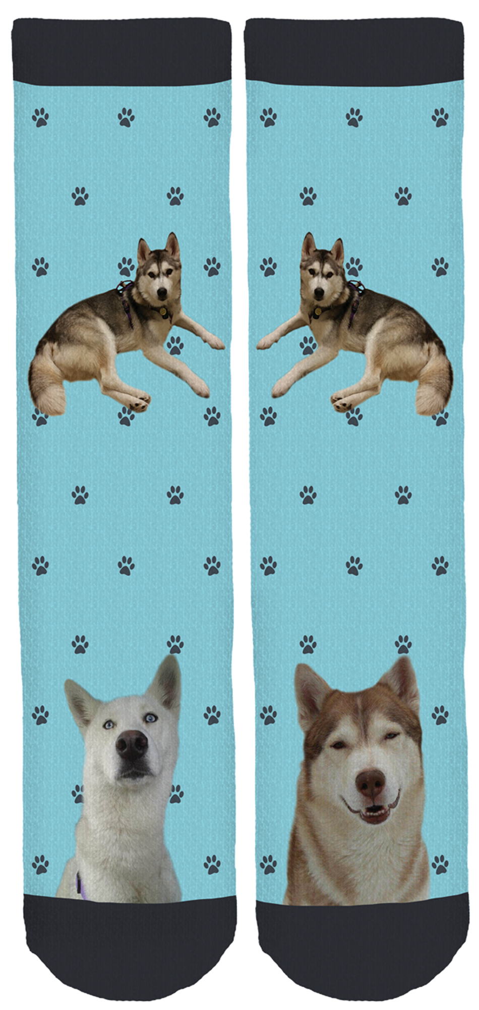 Hairy 2024 houdini rescue