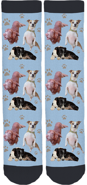 Mary Ann Morris Animal Society Crew Socks
