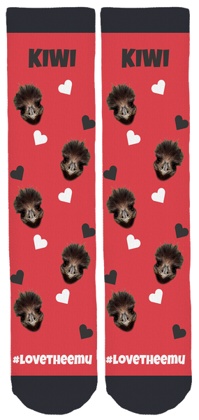 Izzie's Pond Emu Socks