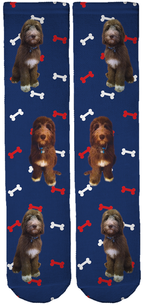 Saving my Doodette Annie Socks