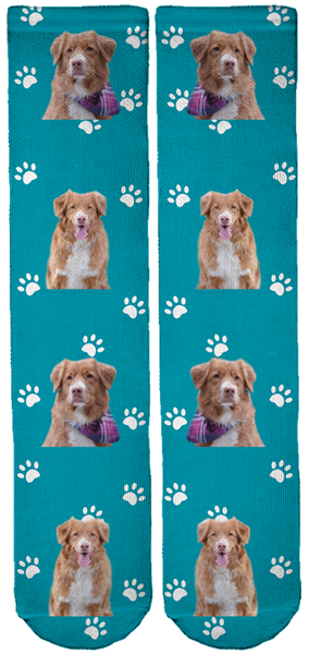 Limited Edition Mocha the Toller Crew Socks