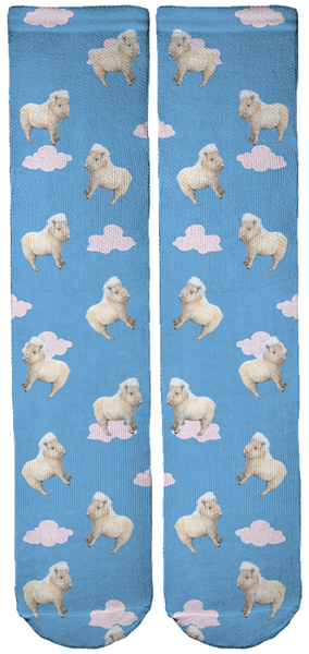 Limited Edition Teddy The Shetland Crew Socks