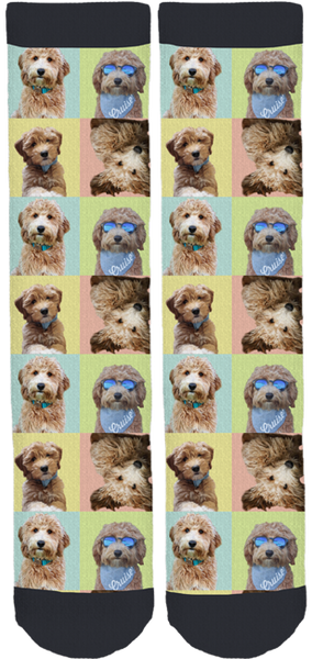 Mr. Cruiser Crew Socks