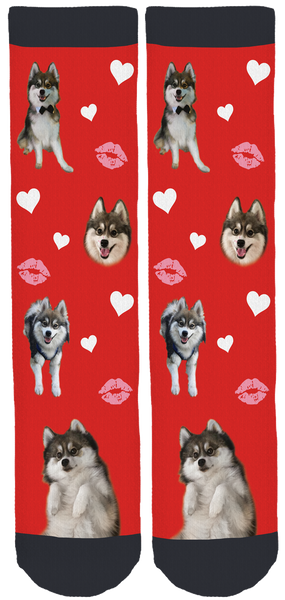 Norman The Pomsky Valentines Crew Socks