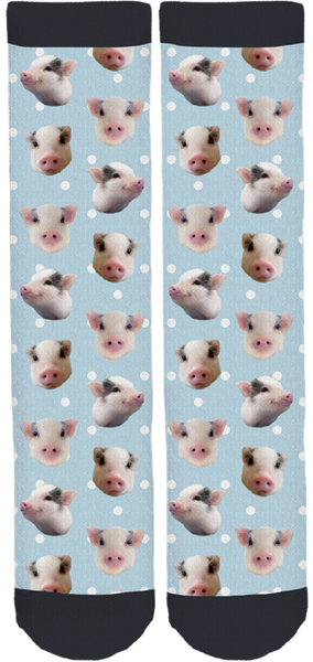 Paddington The Pig Crew Socks