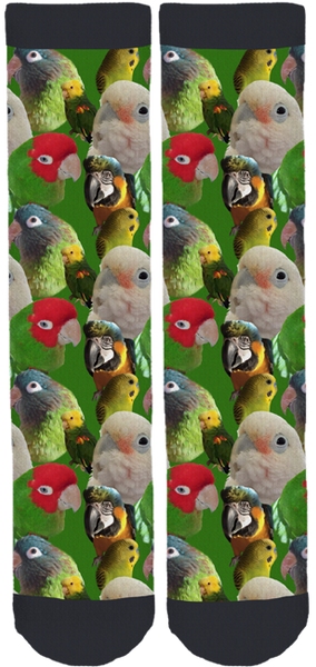 Capital Region Parrot Society Crew Socks