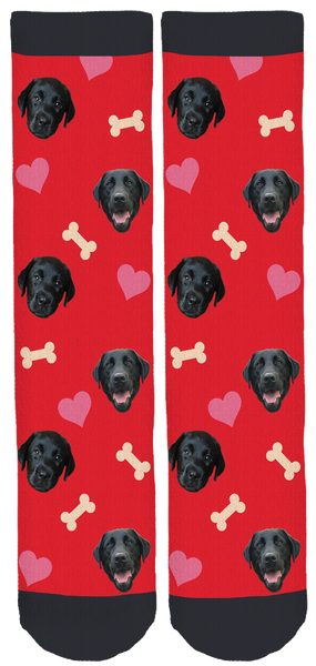 Remi the Black Lab