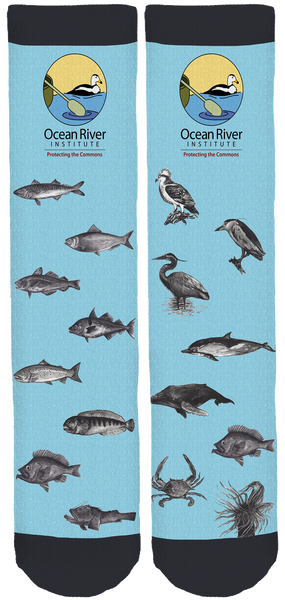 Ocean River Institute Crew Socks