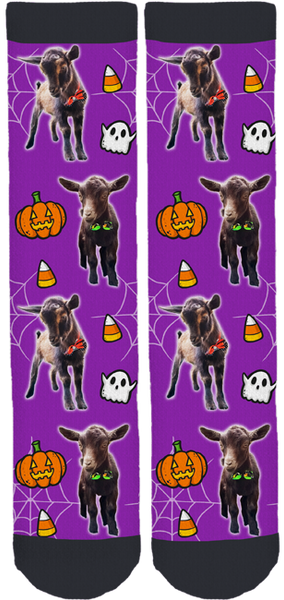 Riley Farm Rescue Halloween Socks