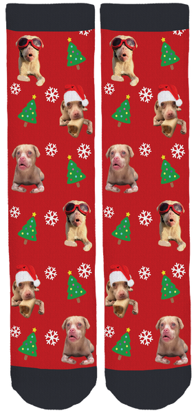Tucker Wears Goggles Memorial Crew Socks