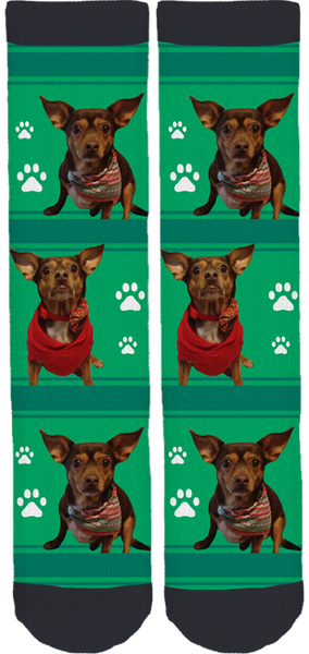 USA Furbabies Crew Socks