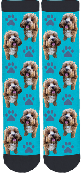 Oliver the Cavoodle Crew Socks
