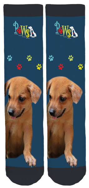 Limited Edition 4PAWS Crew Socks