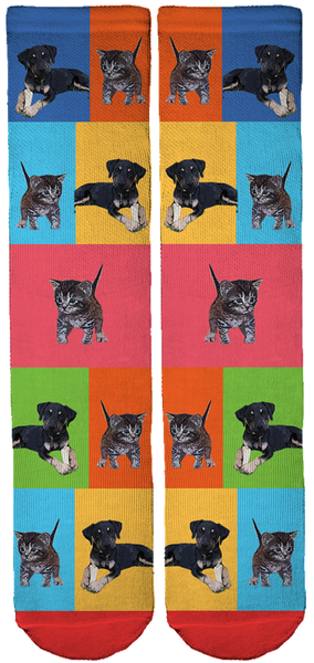 Waseca County Animal Humane Society Bamboo Crew Socks!