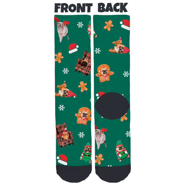 Furballs Inc. Holiday Crew Socks