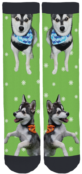 Zeus the Pomsky Crew Socks